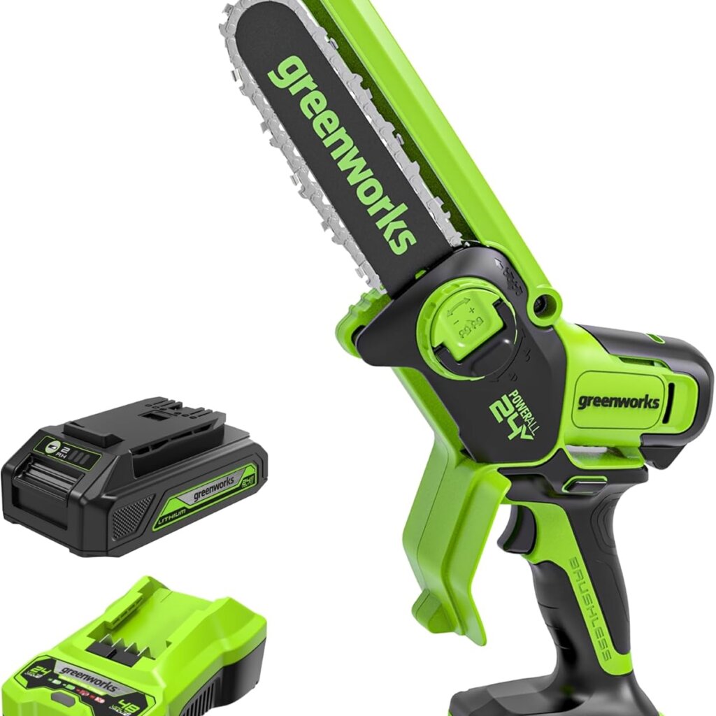 Greenworks CS24L210